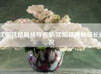 沈阳铁路局领导名单:沈阳铁路局局长近况