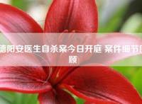 德阳安医生自杀案今日开庭 案件细节回顾