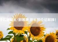什么是割礼?割哪里 割礼的介绍解释！？