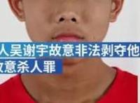 吴谢宇为什么杀母谢天琴,北大吴谢宇弑母原因案件全过程