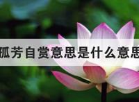 孤芳自赏意思是什么意思