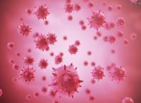 哈尔滨确诊女孩遭网暴被骂毒王 隐私遭到曝光