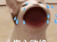发疯文学是什么梗？发疯文学文案催发货分享