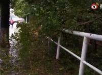 上海已有36.2万人成功转移 目前上海天气情况如何？