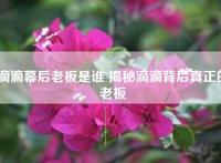 滴滴幕后老板是谁 揭秘滴滴背后真正的老板