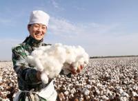 抵制新疆棉花的都有哪些品牌,抵制新疆棉花品牌详解