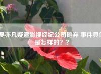 吴亦凡疑遭影视经纪公司抛弃 事件具体是怎样的？？
