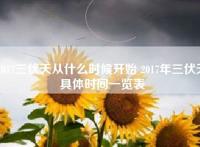 2017三伏天从什么时候开始 2017年三伏天具体时间一览表