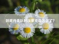 到底丹麦队的埃里克森怎么了？