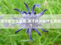 漫才是什么意思 漫才具体是什么意思！？