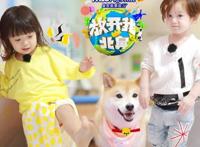 放开我北鼻里面孩子都有谁？揭晓放开我北鼻妍妍退出录制的真实原因