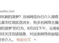 相关部门介入主播直播吃象群食物 按照规章和管理要求介入
