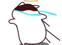 bushi是什么梗,bushi意思出处介绍