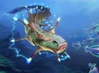 电鳗是什么梗 加拿大电鳗是什么意思