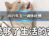 2021年五一调休吐槽,小学生自编自唱吐槽五一调休