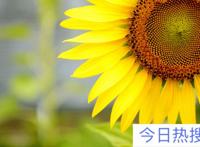 2021年7月1日建党一百周年大阅兵吗 2021党成立100周年大阅兵