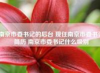 南京市委书记的后台 现任南京市委书记简历 南京市委书记什么级别