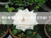 孙小果生父是谁 孙小果亲父介绍！？