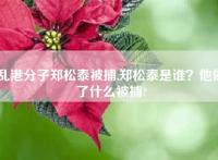 乱港分子郑松泰被捕,郑松泰是谁？他做了什么被捕?