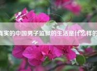真实的中国男子监狱的生活是什么样的？