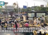 郑州地铁5号线周边菊花被买空 这一幕令人破防了