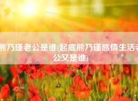 熊乃瑾老公是谁(起底熊乃瑾感情生活老公又是谁)