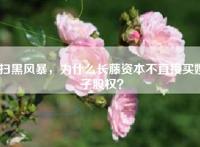 扫黑风暴，为什么长藤资本不直接买嫂子股权？