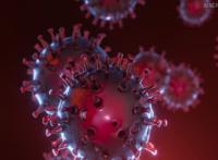 南京疫情是怎么引起的 疫情源头确定了吗