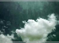 新闻联播里的刘诗诗 太惊艳了吧！！【图】