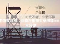 中国式浪漫！新疆万亩薰衣草田铺2000平米党旗