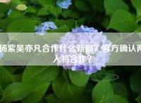 杨紫吴亦凡合作什么新剧？官方确认两人将合作？