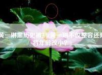 黄一琳黑历史被扒(黄一琳不仅整容还修将年龄改小？)