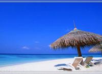 罗永浩3年还清6亿元 他到底欠了多少钱？？