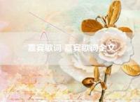 嘉宾歌词 嘉宾歌词全文