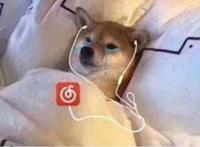 网抑云是个什么梗?网易云谐音梗，评论区特色(丧文化)