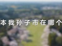 日本我孙子市在哪个县