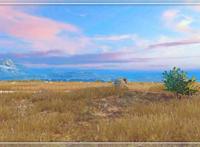 GIF动图发明者因新冠去世 其个人资料简介