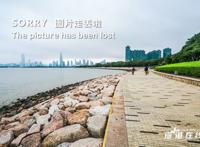 贾静雯现在的老公 贾静雯为什么离婚 贾静雯老公个人资料