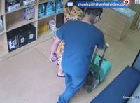 名贵猫王后代被医院误做绝育 被误做绝育猫主人再发声