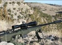 世界上威力最大的狙击枪：L115A3、CheyTacM200、AS50狙击步枪