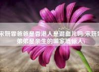 宋妍霏爸爸是香港人是混血儿吗(宋妍霏弟弟是亲生的嘛家境惊人)