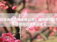 日本岸田内阁全体辞职，新内阁将在下午首相指名选举后成立