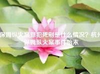 保姆纵火案罪犯死刑是什么情况？杭州保姆纵火案事件始末