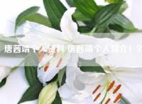 唐茜靖个人资料 唐茜靖个人简介！？