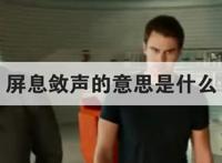 屏息敛声的意思是什么