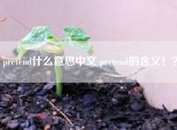 pretend什么意思中文 pretend的含义！？