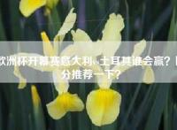 欧洲杯开幕赛意大利vs土耳其谁会赢？比分推荐一下？