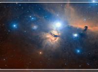 疑似玛莎拉蒂女司机从领导栏撤下 从空姐跨界到银行高管