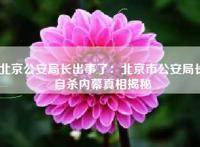 北京公安局长出事了：北京市公安局长自杀内幕真相揭秘