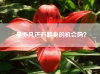 吴亦凡还有翻身的机会吗？